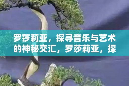探寻音乐与艺术的神秘交汇点图片