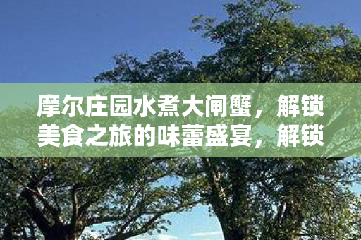 解锁美食之旅的味蕾盛宴图片