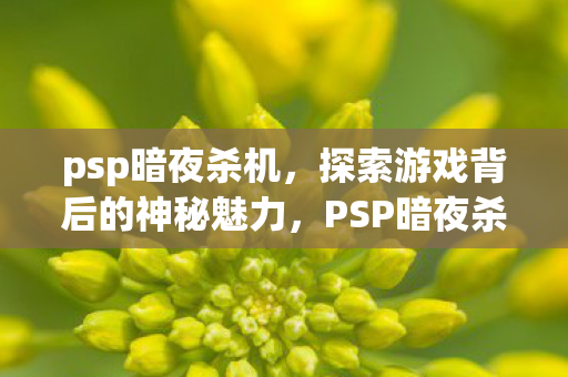 探索游戏背后的神秘魅力图片
