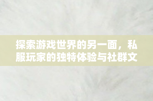 私服玩家的独特体验与社群文化图片