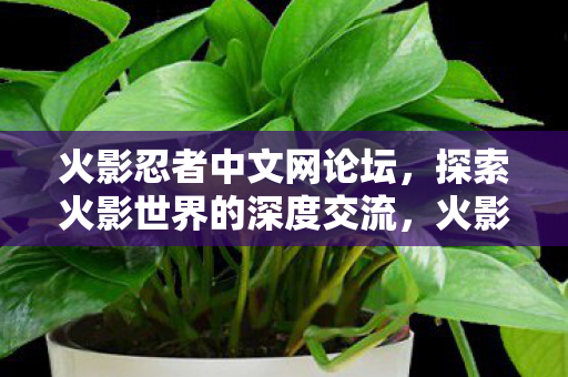 深度探索火影世界的交流平台图片