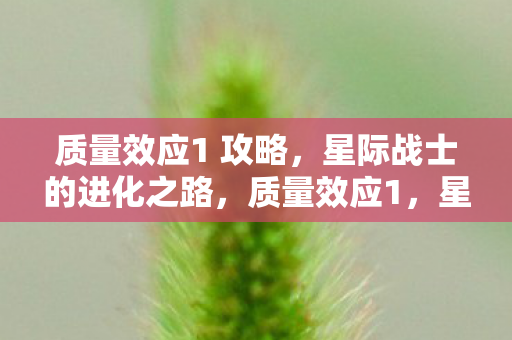 星际战士的进化之路全攻略图片