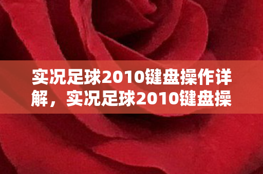 实况足球2010键盘操作详解图片