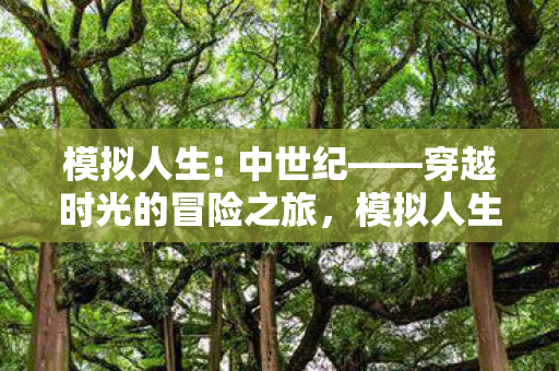 穿越时光的冒险之旅图片