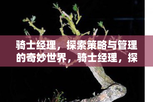 骑士经理,探索策略与管理的奇妙世界,骑士经理,探索策略与管理的奇妙世界 骑士经理,探索策略与管理的奇妙世界,骑士经理,探索策略与管理的奇妙世界