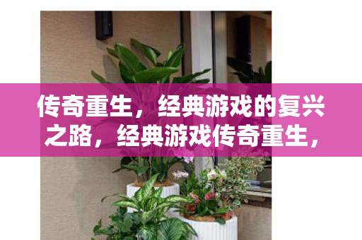 传奇重生,经典游戏的复兴之路,经典游戏传奇重生,复兴之路 传奇重生,经典游戏的复兴之路,经典游戏传奇重生,复兴之路