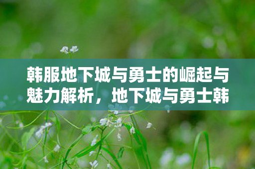 地下城与勇士韩服崛起与魅力深度剖析图片