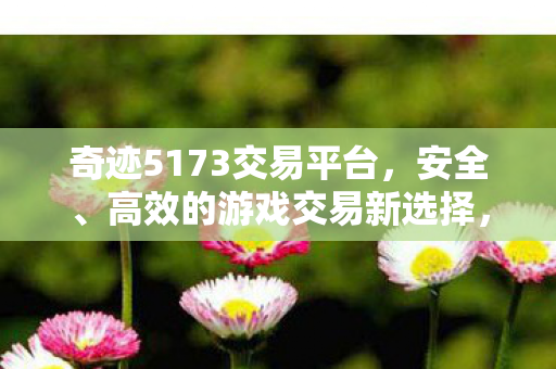 奇迹5173交易平台,安全、高效的游戏交易新选择,奇迹5173,安全高效的游戏交易新平台 奇迹5173交易平台,安全、高效的游戏交易新选择,奇迹5173,安全高效的游戏交易新平台