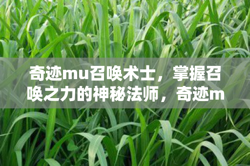 奇迹mu召唤术士,掌握召唤之力的神秘法师,奇迹mu,召唤术士的神秘力量 奇迹mu召唤术士,掌握召唤之力的神秘法师,奇迹mu,召唤术士的神秘力量