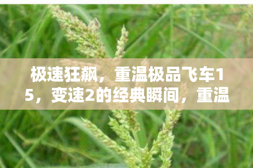 变速2极速狂飙瞬间回顾图片