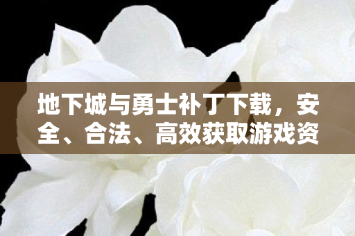 高效地获取地下城与勇士游戏资源图片