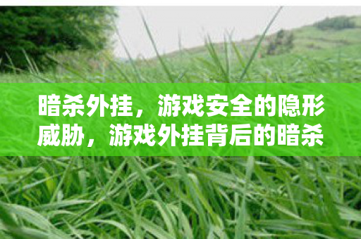 暗杀外挂,游戏安全的隐形威胁,游戏外挂背后的暗杀阴影,安全威胁悄然蔓延 暗杀外挂,游戏安全的隐形威胁,游戏外挂背后的暗杀阴影,安全威胁悄然蔓延