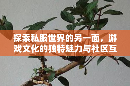探索游戏文化的独特魅力与社区互动图片