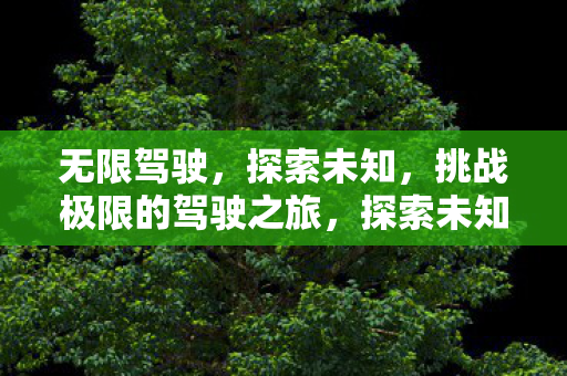 挑战极限的驾驶之旅图片