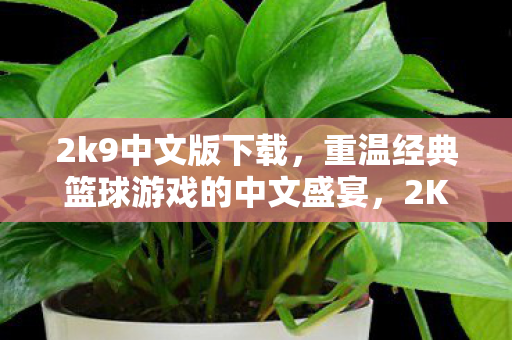 重温经典篮球游戏的中文盛宴图片