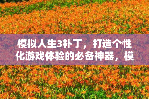 打造个性化游戏体验的必备神器图片