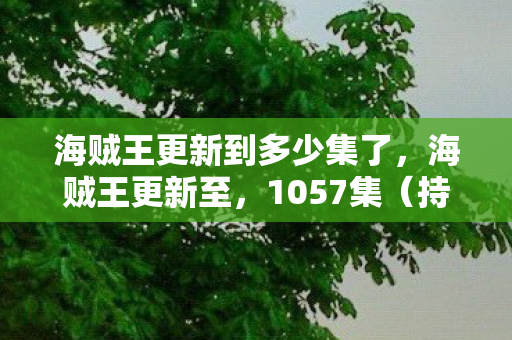 海贼王更新到多少集了，海贼王更新至，1057集（持续更新中）