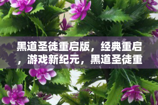 黑道圣徒重启版图片