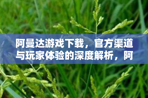 官方渠道与玩家体验的深度解析图片