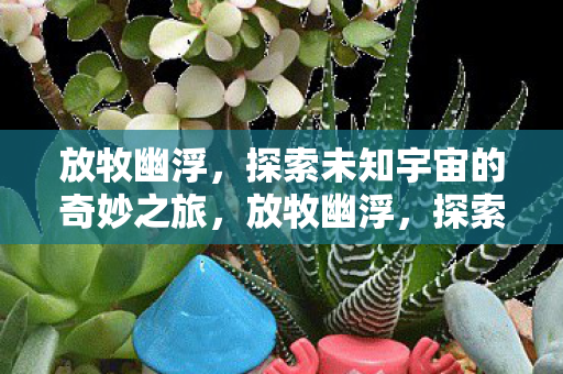 探索未知宇宙的奇妙之旅图片