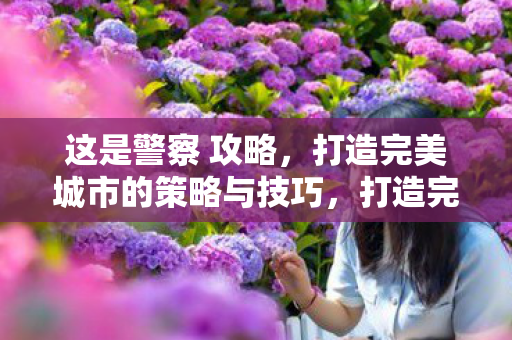 打造完美城市的策略与技巧图片