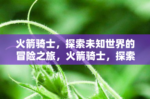 火箭骑士,探索未知世界的冒险之旅,火箭骑士,探索未知世界的冒险之旅 火箭骑士,探索未知世界的冒险之旅,火箭骑士,探索未知世界的冒险之旅