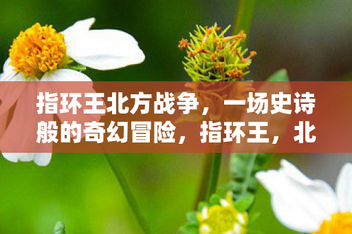 指环王北方战争,一场史诗般的奇幻冒险,指环王,北方战争的奇幻冒险之旅 指环王北方战争,一场史诗般的奇幻冒险,指环王,北方战争的奇幻冒险之旅