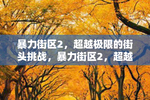 暴力街区2，超越极限的街头挑战，暴力街区2，超越极限的街头挑战
