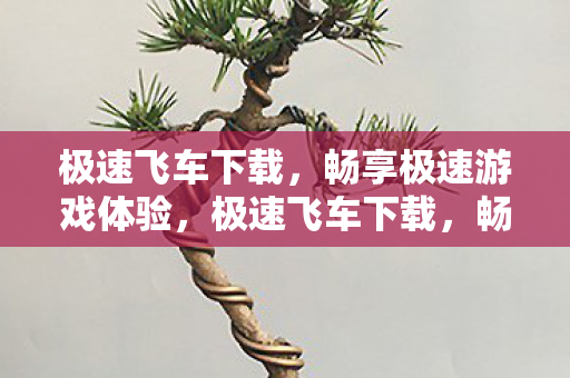 畅享极速游戏体验图片