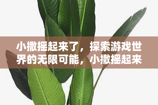 小撒摇起来了,探索游戏世界的无限可能,小撒摇起来了,探索游戏世界的无限可能 小撒摇起来了,探索游戏世界的无限可能,小撒摇起来了,探索游戏世界的无限可能