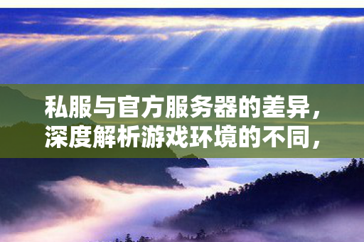 私服与官方服务器的差异图片