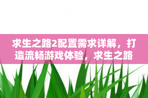 求生之路2配置需求全解析图片