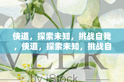 侠道,探索未知,挑战自我,侠道,探索未知,挑战自我之旅 侠道,探索未知,挑战自我,侠道,探索未知,挑战自我之旅