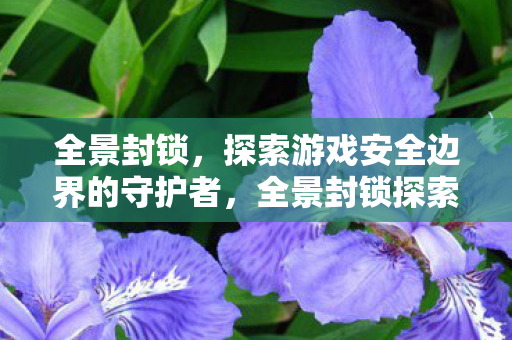 全景封锁,探索游戏安全边界的守护者,全景封锁探索游戏安全边界的守护者 全景封锁,探索游戏安全边界的守护者,全景封锁探索游戏安全边界的守护者