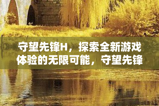 守望先锋H,探索全新游戏体验的无限可能,守望先锋H,探索全新游戏体验的无限可能 守望先锋H,探索全新游戏体验的无限可能,守望先锋H,探索全新游戏体验的无限可能