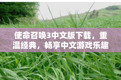 使命召唤3中文版下载图片