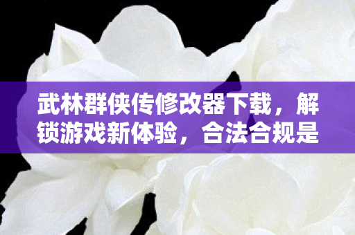 武林群侠传修改器下载图片