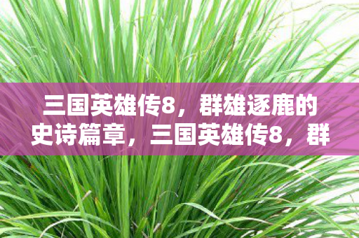 群雄逐鹿的史诗篇章图片