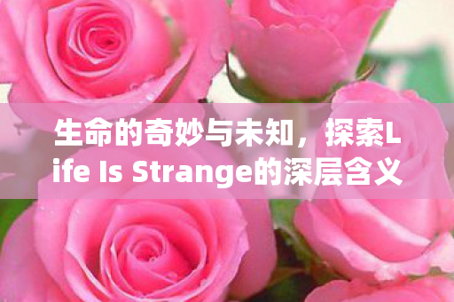 探索Life Is Strange的深层含义图片