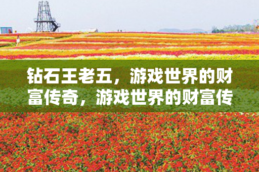 游戏世界的财富传奇图片