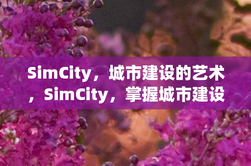 掌握城市建设的艺术图片