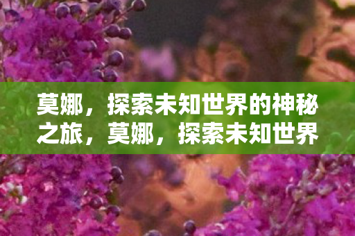探索未知世界的神秘之旅图片