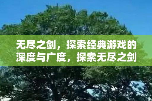 探索经典游戏的深度与广度图片