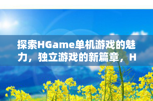 探索HGame单机游戏的魅力，独立游戏的新篇章，HGame单机游戏，独立游戏新篇章的魅力探索
