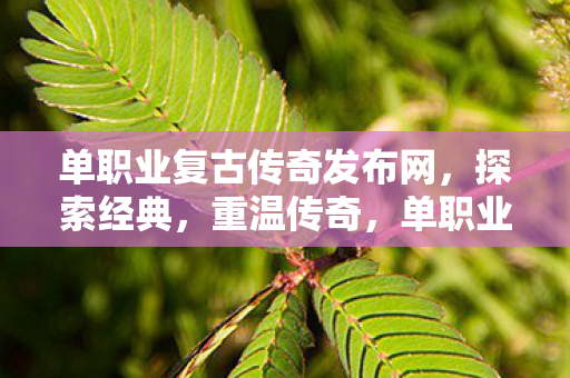 单职业复古传奇发布网,探索经典,重温传奇,单职业复古传奇发布网,重温经典传奇,探索传奇世界 单职业复古传奇发布网,探索经典,重温传奇,单职业复古传奇发布网,重温经典传奇,探索传奇世界