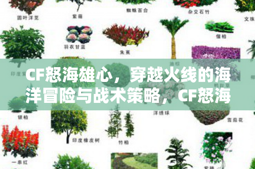 CF怒海雄心，穿越火线的海洋冒险与战术策略，CF怒海雄心，穿越火线的海洋冒险与战术策略