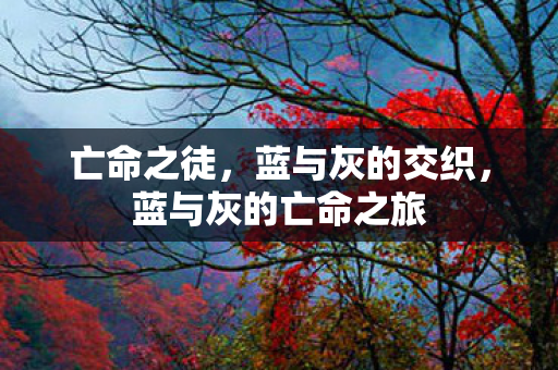 亡命之徒，蓝与灰的交织，蓝与灰的亡命之旅