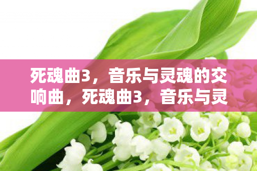 音乐与灵魂的交响曲图片