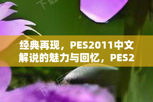 经典再现,PES2011中文解说的魅力与回忆,PES2011中文解说,经典再现的魅力与回忆 经典再现,PES2011中文解说的魅力与回忆,PES2011中文解说,经典再现的魅力与回忆