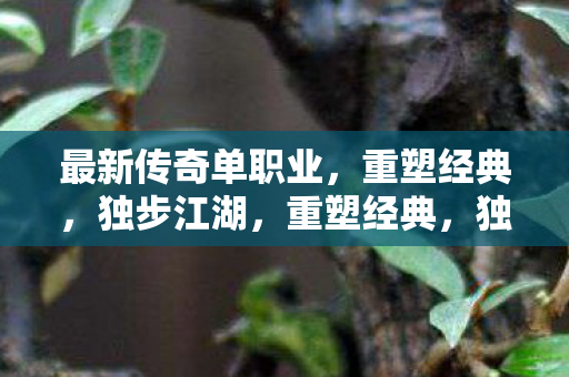 最新传奇单职业,重塑经典,独步江湖,重塑经典,独步江湖,最新传奇单职业来袭 最新传奇单职业,重塑经典,独步江湖,重塑经典,独步江湖,最新传奇单职业来袭